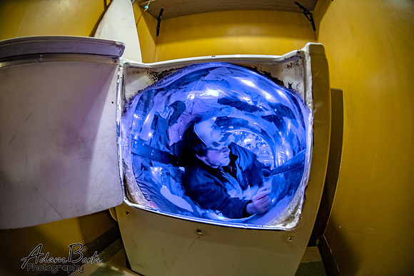 005_8260