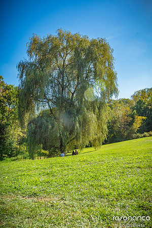 RES_2112