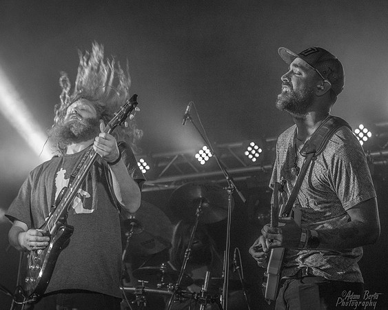 20220617 - BertaOhioDreamfest -239  8993_