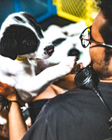 240623-Goose-BertaAdam-9172