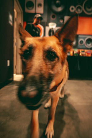 250612_AdamBertaPhoto-GooseIndy-5569