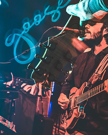 250208_AdamBertaPhoto-Goose4097