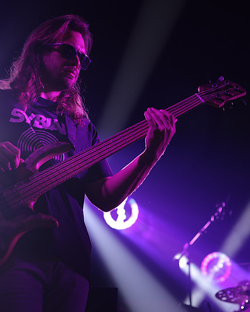 20230419-Goose-Bertaphoto-The Elm-BERT9943