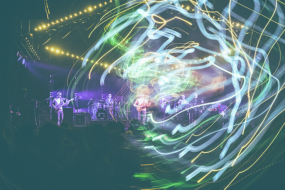 20230419-Goose-Bertaphoto-The Elm-BERT0059-Edit