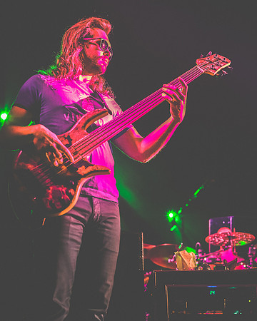 20230419-Goose-Bertaphoto-The Elm-BERT0193