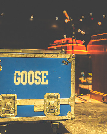 20230323-Goose-BertaPhoto-Roadrunner-GSE04783