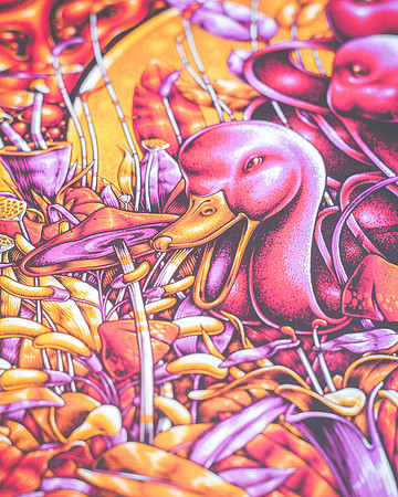 20230418-Goose-Bertaphoto-The Elm-GSE00045