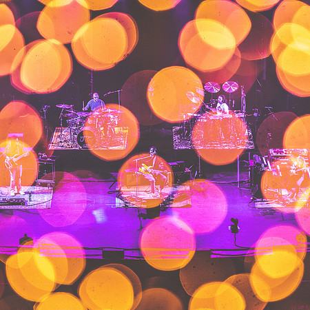 20230325-Goose-BertaPhoto-The Met-H0S_4698