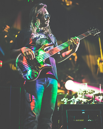 20230418-Goose-Bertaphoto-The Elm-BERT9605