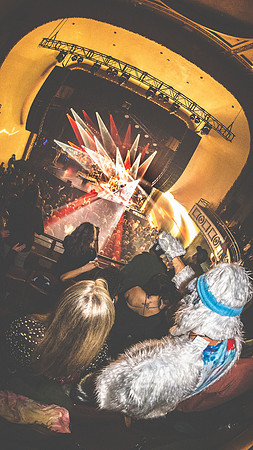 20230416-Goose-Bertaphoto-Palace Theatre-H0S_1869