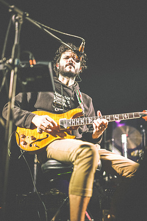 20230418-Goose-Bertaphoto-The Elm-BERT8993