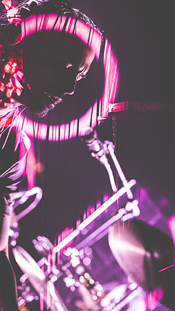 20230419-Goose-Bertaphoto-The Elm-BERT0004A