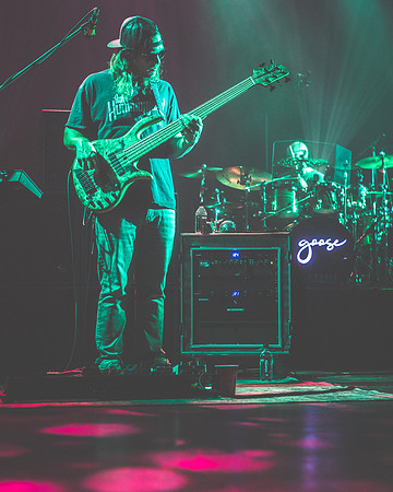 20230325-Goose-BertaPhoto-The Met-GSE07063