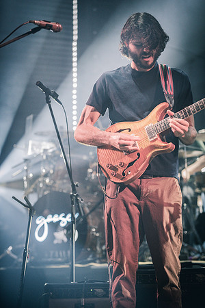 20230325-Goose-BertaPhoto-The Met-H0S_5043