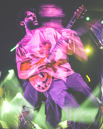 20230419-Goose-Bertaphoto-The Elm-BERT0210