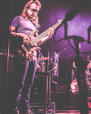 20230419-Goose-Bertaphoto-The Elm-BERT0181
