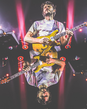 20230418-Goose-Bertaphoto-The Elm-BERT9573