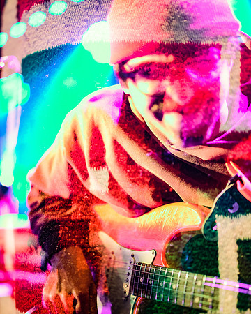 20230419-Goose-Bertaphoto-The Elm-BERT0020