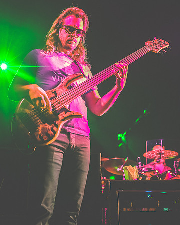 20230419-Goose-Bertaphoto-The Elm-BERT0194