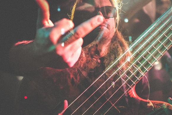 20230419-Goose-Bertaphoto-The Elm-BERT0028