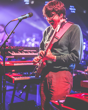 20230420-Goose-Bertaphoto-The Elm-BERT0274