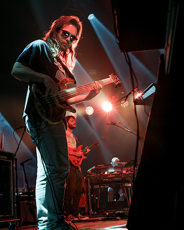 20230418-Goose-Bertaphoto-The Elm-BERT9856