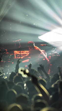 20230324-Goose-BertaPhoto-The Met-H0S_4298