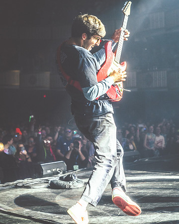 20230325-Goose-BertaPhoto-The Met-GSE06906