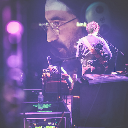 20230420-Goose-Bertaphoto-The Elm-BERT0268