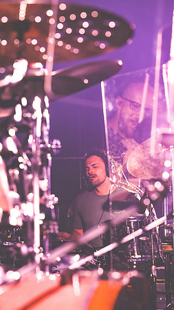 20230419-Goose-Bertaphoto-The Elm-BERT0119
