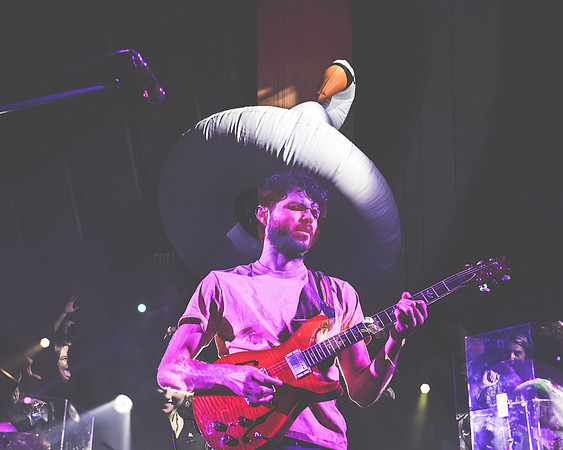 20230419-Goose-Bertaphoto-The Elm-BERT0209-2
