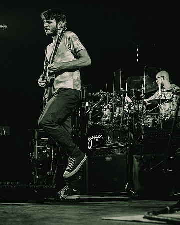 20230418-Goose-Bertaphoto-The Elm-GSE00594