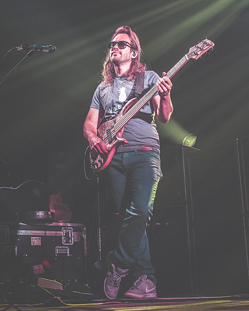 20230420-Goose-Bertaphoto-The Elm-BERT0337