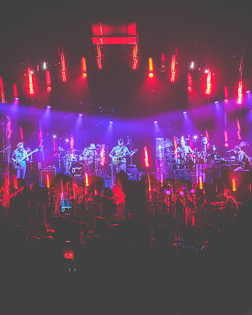 20230419-Goose-Bertaphoto-The Elm-BERT0056