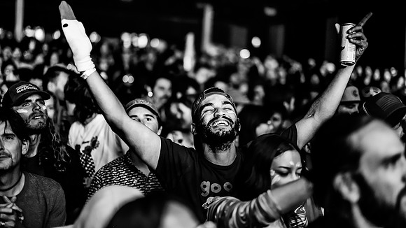 20230418-Goose-Bertaphoto-The Elm-BERT9638
