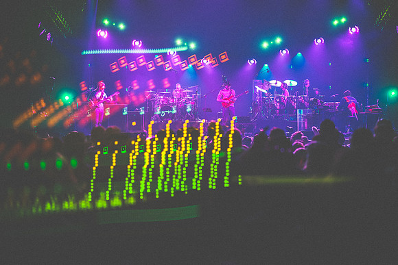 20230419-Goose-Bertaphoto-The Elm-BERT0055