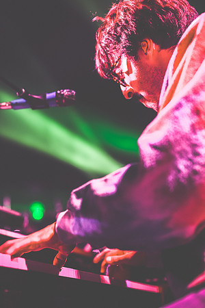20230418-Goose-Bertaphoto-The Elm-BERT9816
