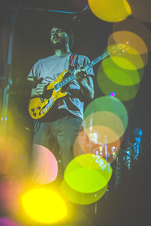 20230419-Goose-Bertaphoto-The Elm-BERT0232