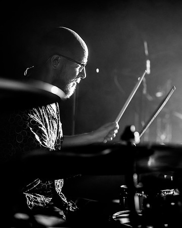 20230420-Goose-Bertaphoto-The Elm-BERT0310