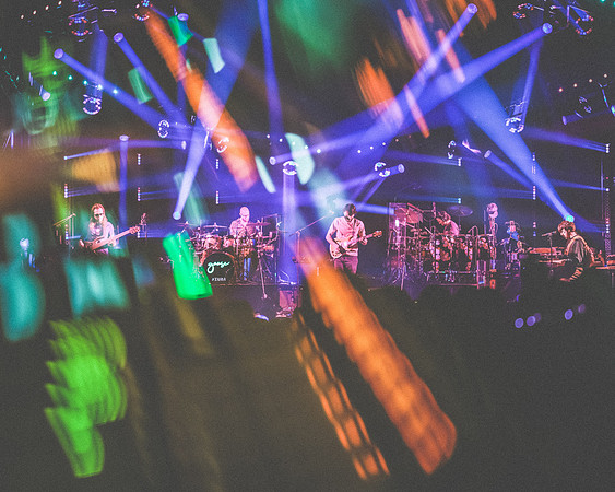 20230419-Goose-Bertaphoto-The Elm-BERT0020B
