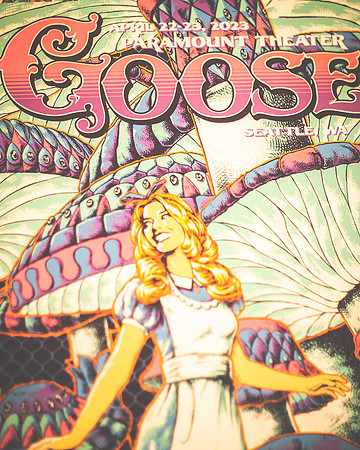 20230422-Goose-Bertaphoto-Paramount Theatre-GSE01741