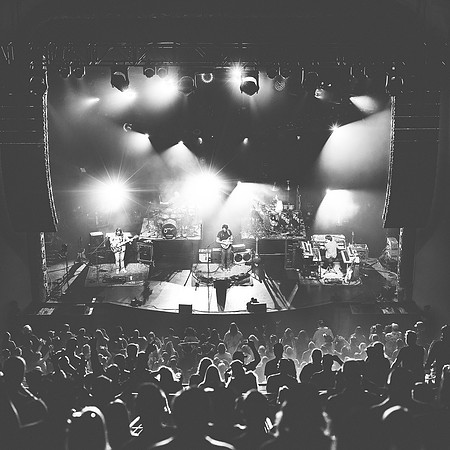 20230416-Goose-Bertaphoto-Palace Theatre-BERT8542