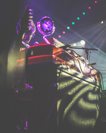20230419-Goose-Bertaphoto-The Elm-BERT0215