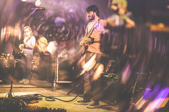 20230420-Goose-Bertaphoto-The Elm-BERT0266
