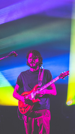 20230325-Goose-BertaPhoto-The Met-GSE07364
