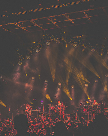 202306272044-BertaPhoto-Goose-Electric Forest-GSE07761