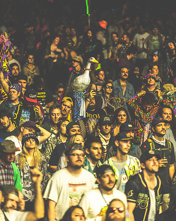 202306252230-BertaPhoto-Goose-Electric Forest-H0S_0198