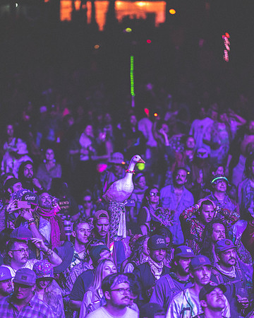 202306252230-BertaPhoto-Goose-Electric Forest-H0S_0194