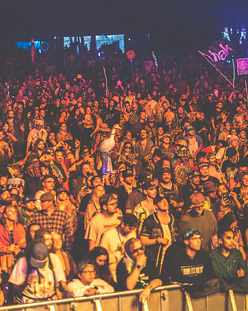202306252230-BertaPhoto-Goose-Electric Forest-H0S_0192