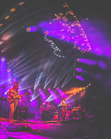 202306272146-BertaPhoto-Goose-Electric Forest-H0S_0933